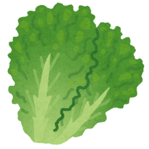 vegetable_green_lettuce