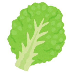 vegetable_lettuce
